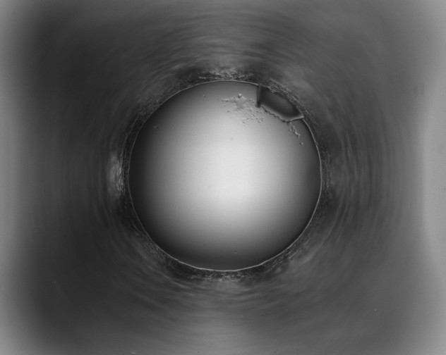 X0000089421106200706151245