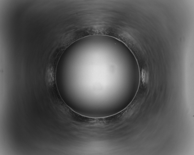 X0000089421107200706151245