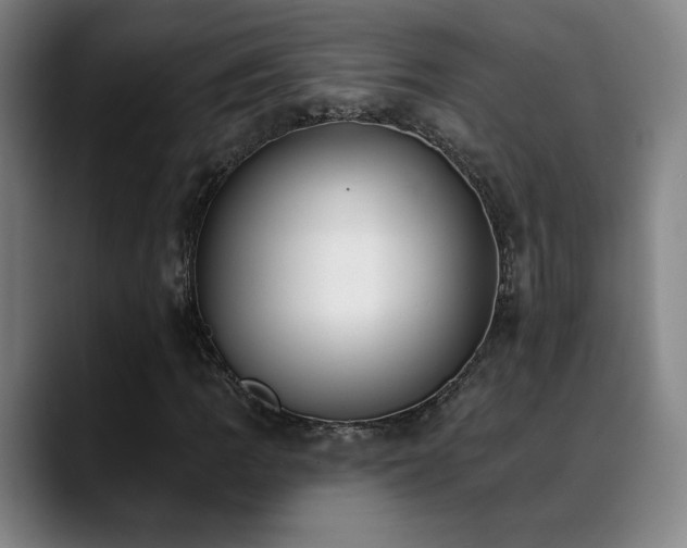 X0000089421109200706151245