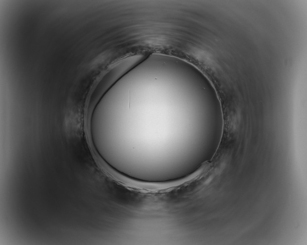 X0000089421110200706151245