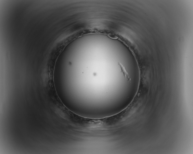 X0000089421112200706151245