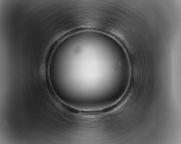 X0000089421114200706151246