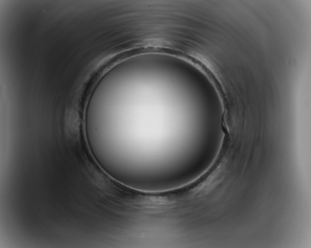 X0000089421115200706151246