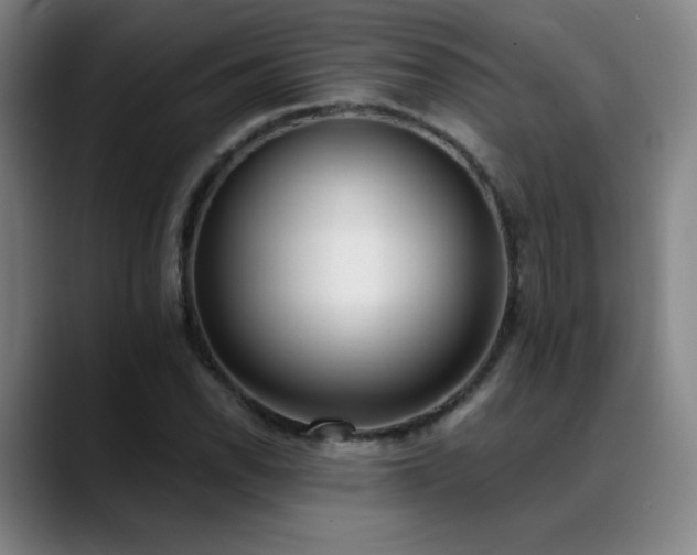 X0000089421118200706151246