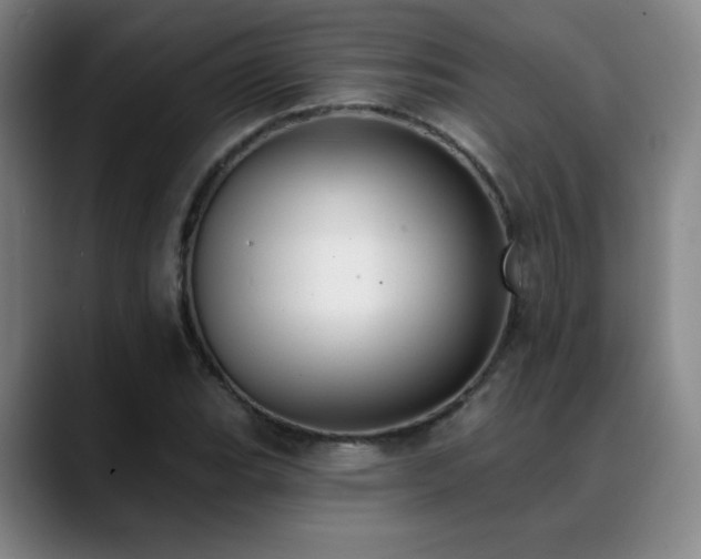X0000089421119200706151246