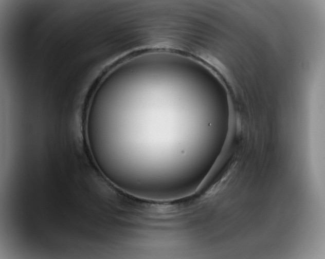 X0000089421120200706151246