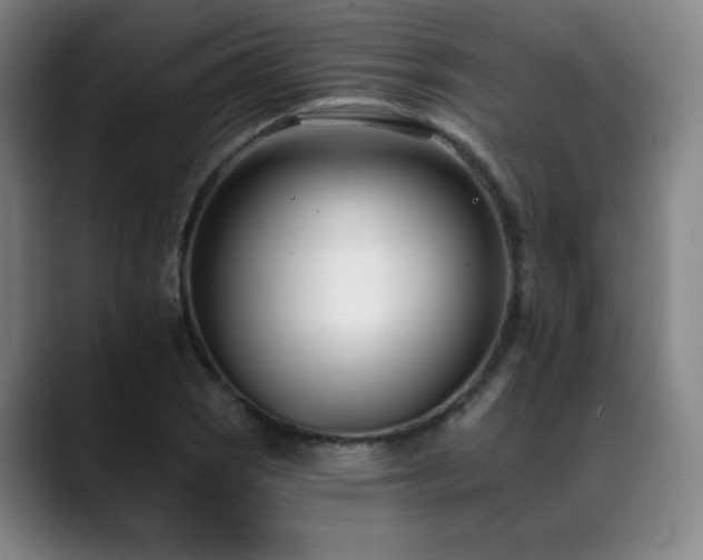 X0000089421121200706151246