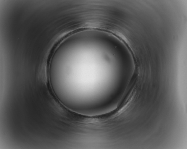 X0000089421123200706151246