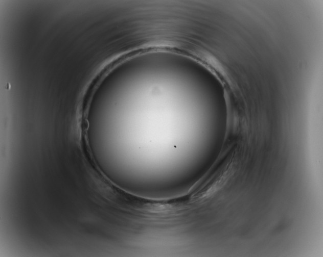 X0000089421124200706151246