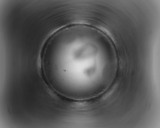X0000089421125200706151246