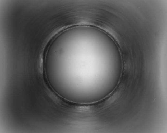 X0000089421126200706151246