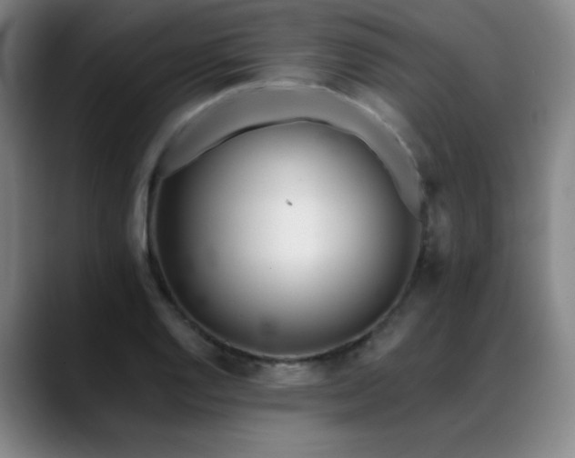 X0000089421128200706151246