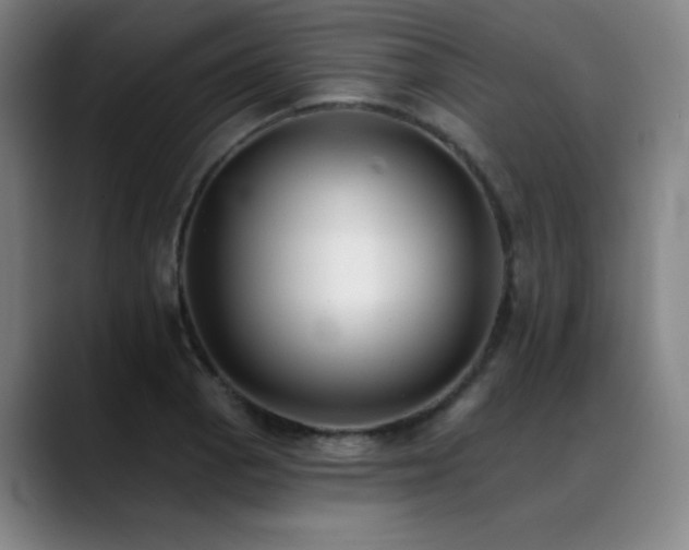 X0000089421129200706151246