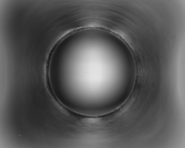 X0000089421134200706151246