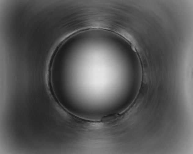 X0000089421136200706151246