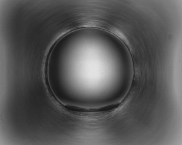 X0000089421138200706151246