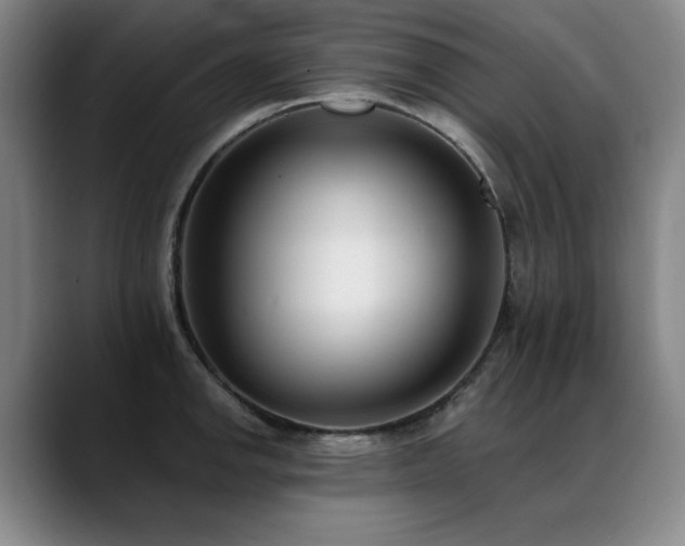 X0000089421142200706151246