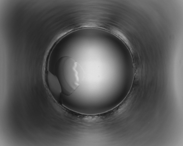 X0000089421146200706151246