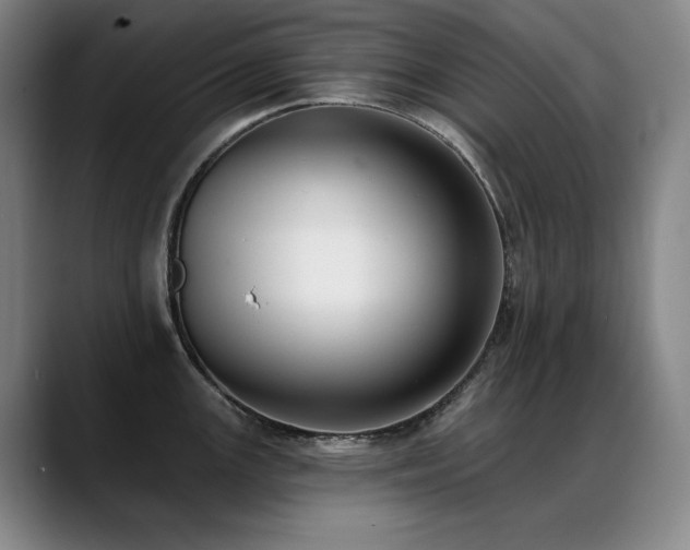 X0000089421147200706151246