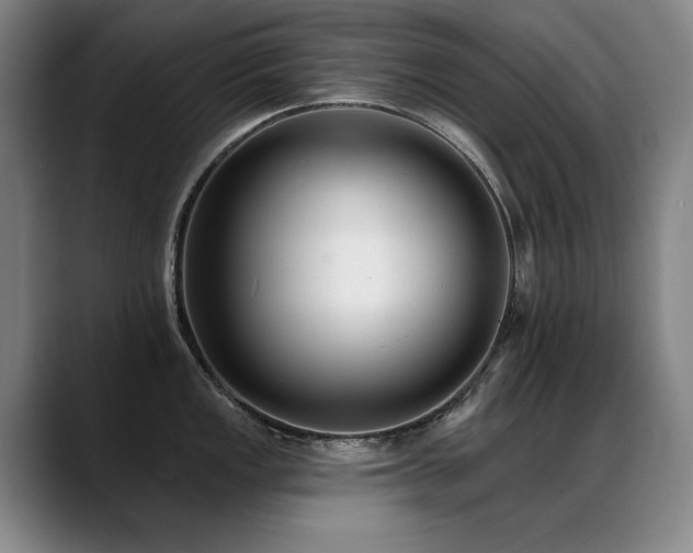 X0000089421149200706151246