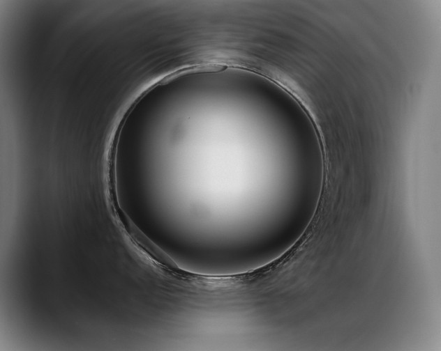 X0000089421152200706151246
