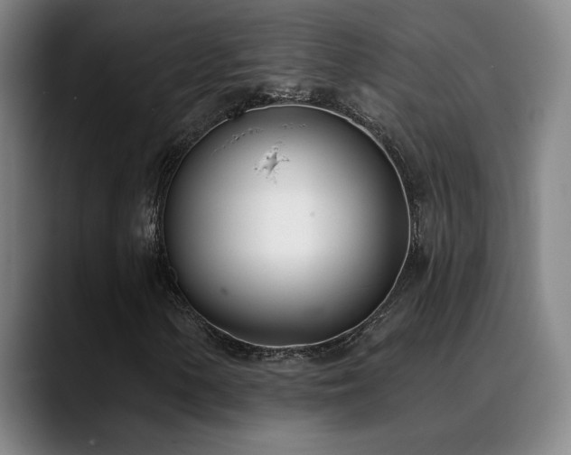 X0000089421154200706151245