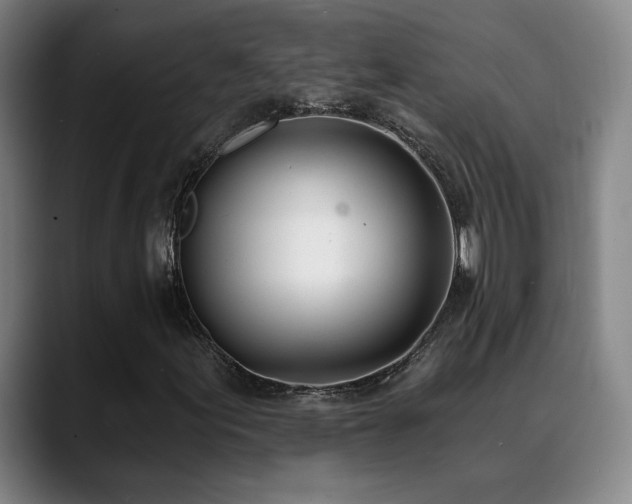 X0000089421155200706151245