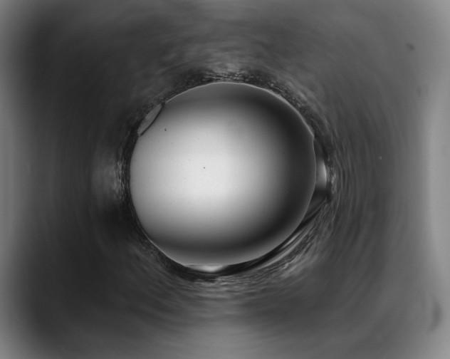 X0000089421156200706151245