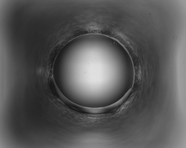 X0000089421157200706151245