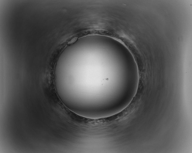 X0000089421159200706151245