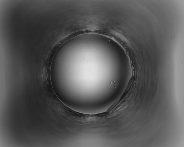 X0000089421160200706151245