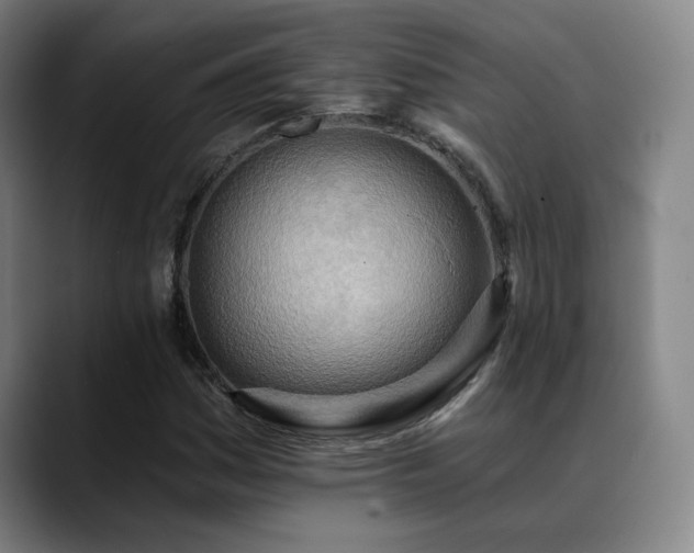 X0000089421161200706151245
