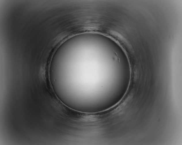 X0000089421162200706151245