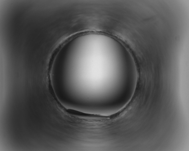 X0000089421168200706151245