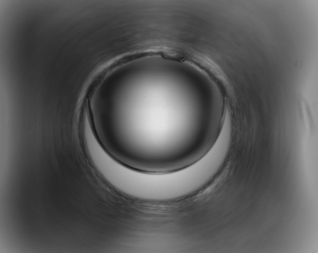 X0000089421172200706151245