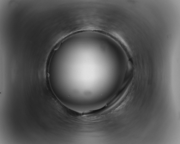 X0000089421173200706151245