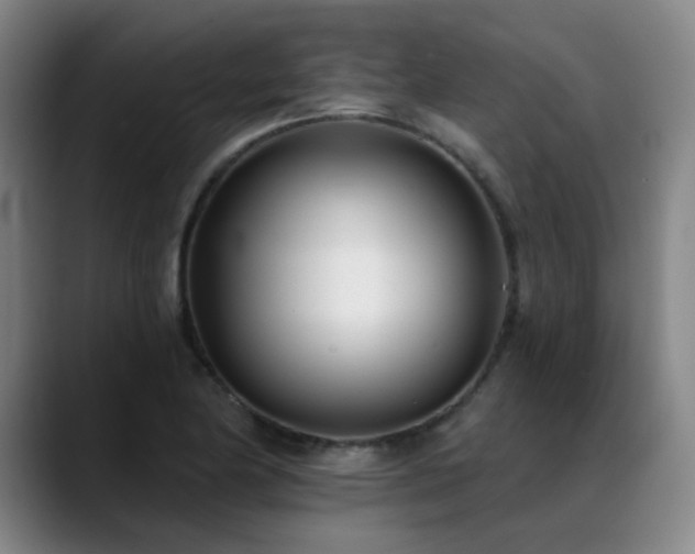 X0000089421174200706151245
