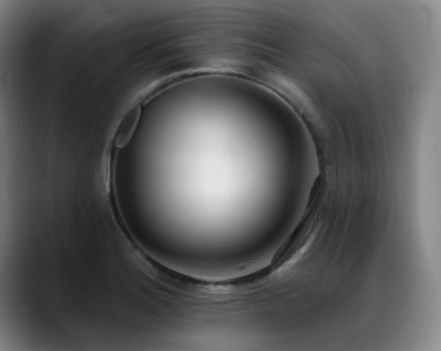 X0000089421180200706151245