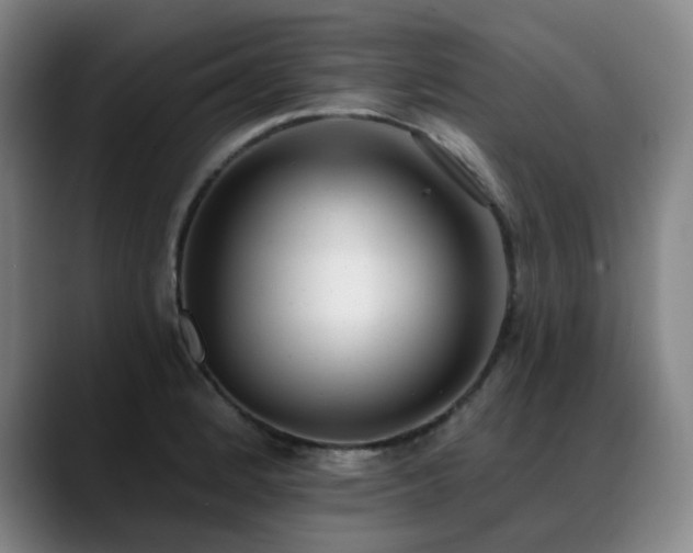 X0000089421184200706151245