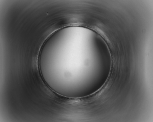 X0000089421186200706151245