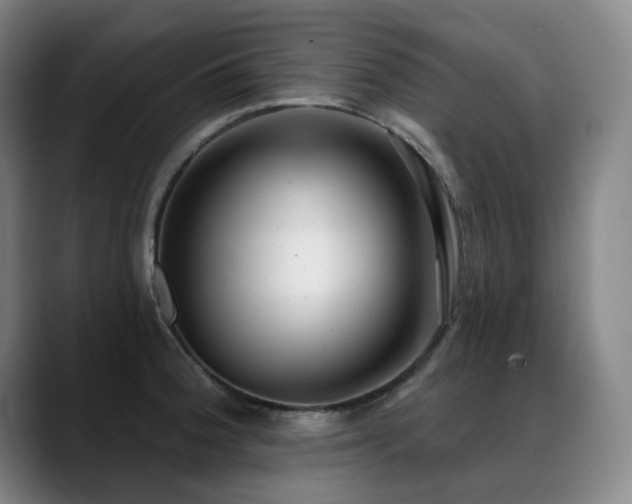 X0000089421188200706151245