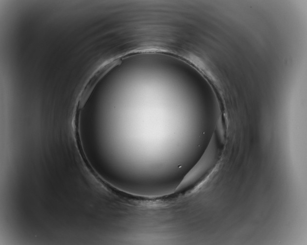 X0000089421189200706151245