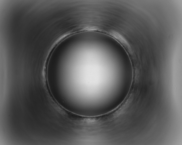 X0000089421190200706151245