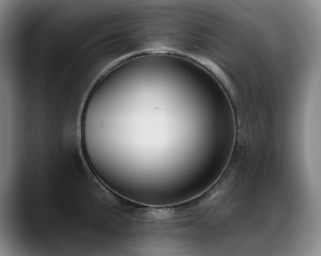 X0000089421191200706151245