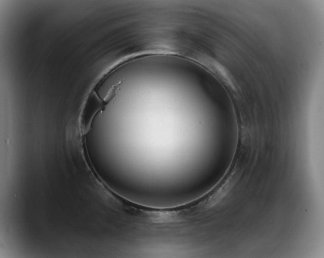 X0000089421192200706151245
