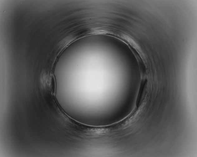 X0000089421193200706151245