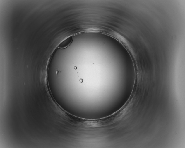 X0000089421194200706151245