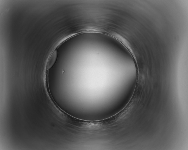 X0000089421195200706151245