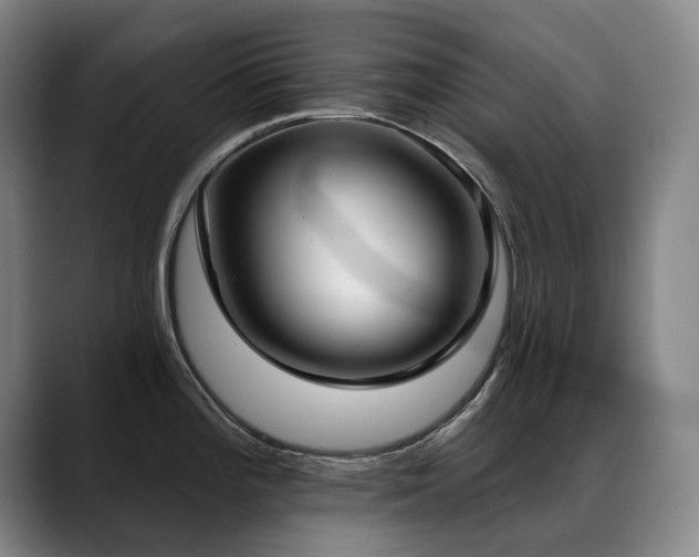 X0000089421196200706151245