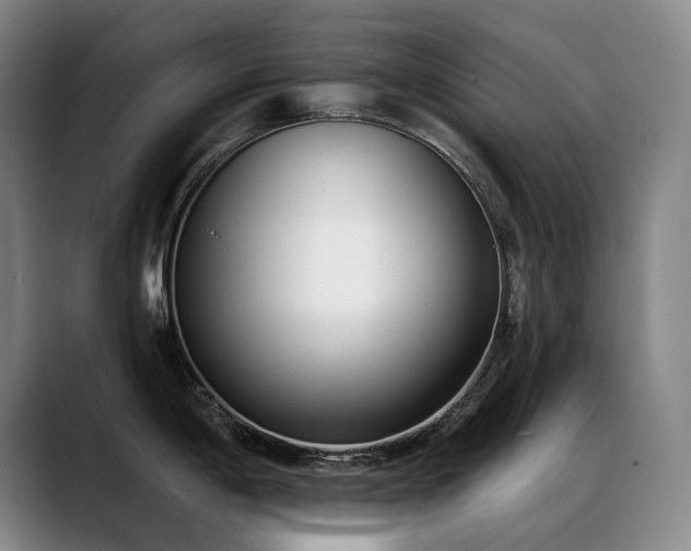 X0000089421198200706151245